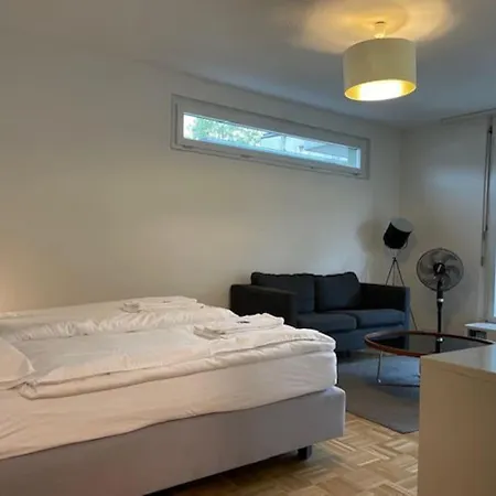 Amazing In The Centre - Art 17 * 취리히